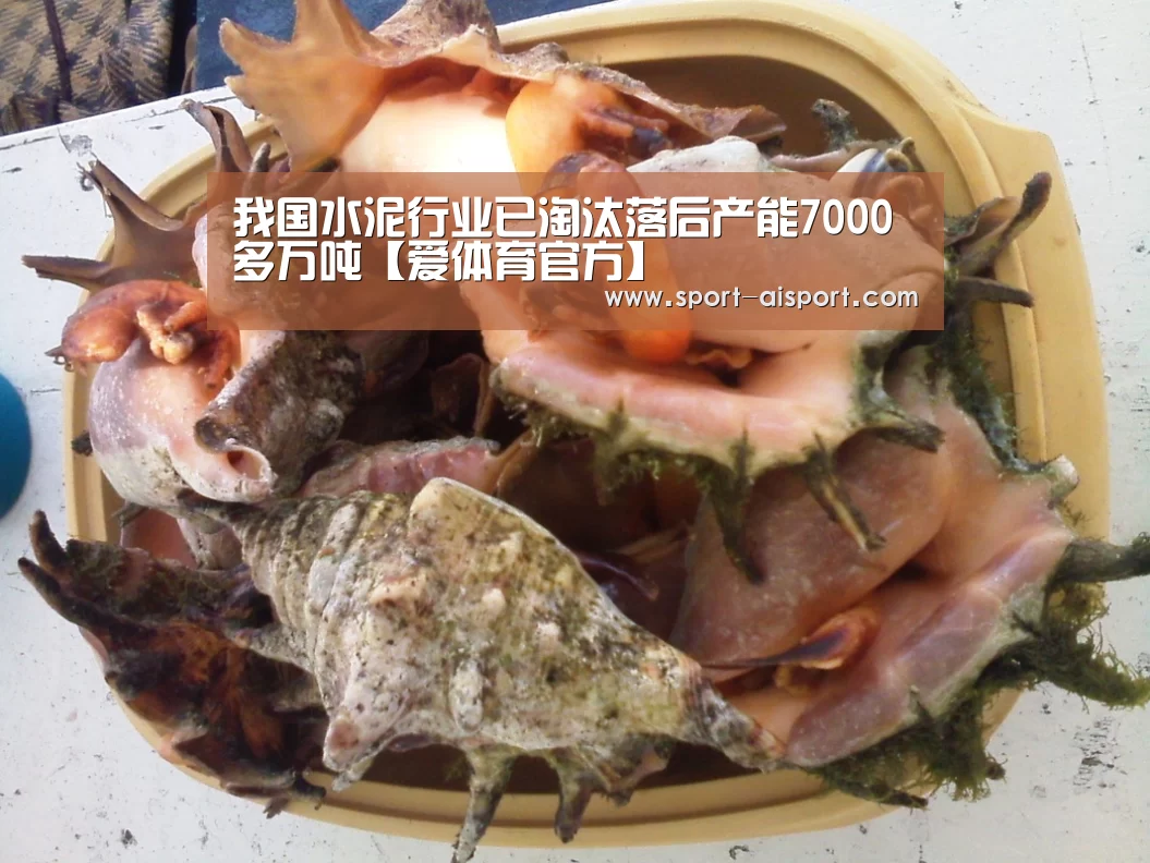 爱体育官方
