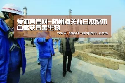 爱体育官网-杭州海关从日本原木中截获有害生物(图1) 爱体育